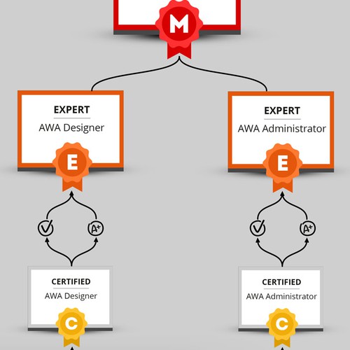 infographic design certification