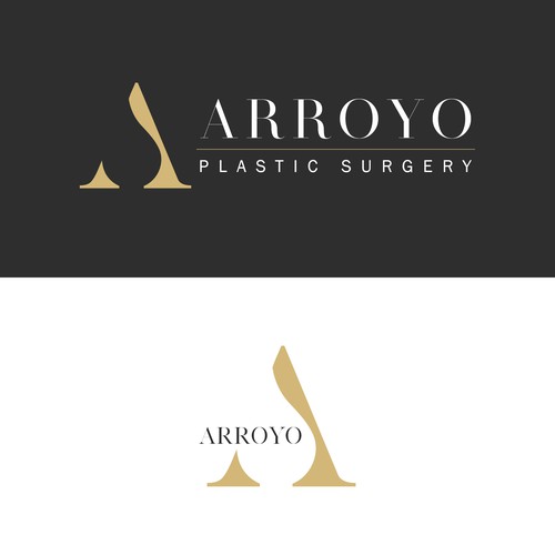 Arroyo Plastic Surgery  Plastic Surgery Houston