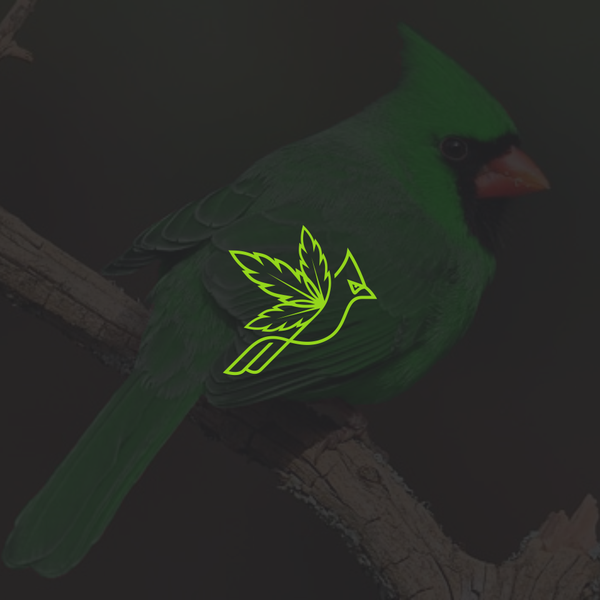 Design by ♥ Alvaro® titled "Carolina Hemp Shop"