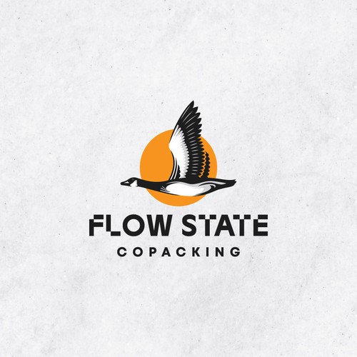 Flow State logo Design by Zainal_Art