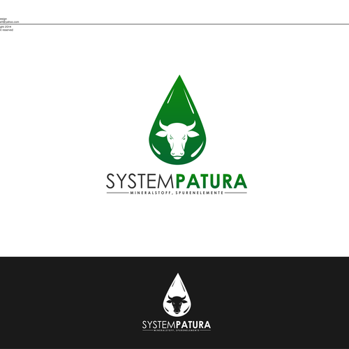 Logo design contest entry by B W N P ™