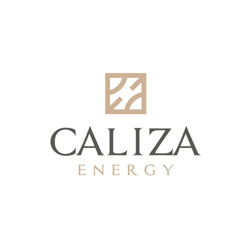 Energy startup Logo to impress investors and early employees Design by FreehubCo™