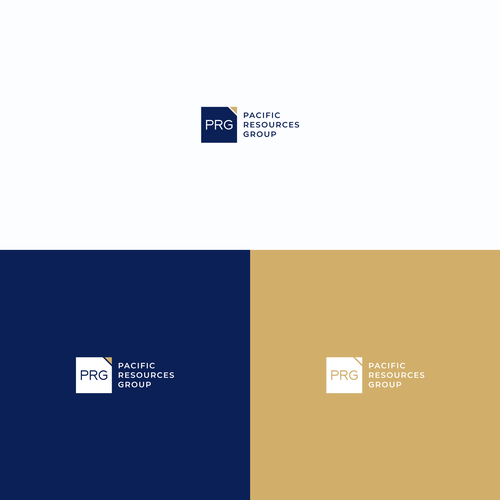 PRG Logo and Brand Guide Design by VolfoxDesign