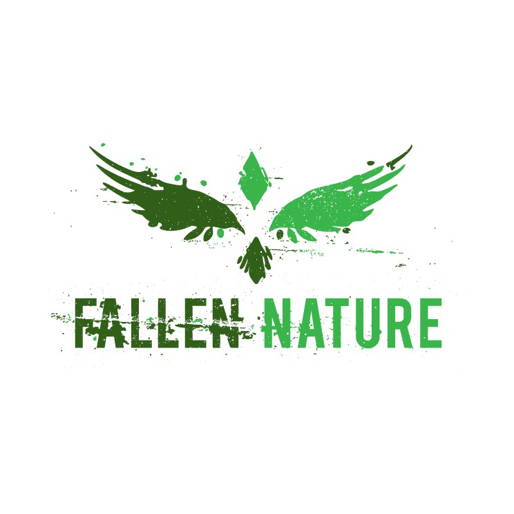 Eagle Feather Logos - Free Eagle Feather Logo Ideas, Design & Templates