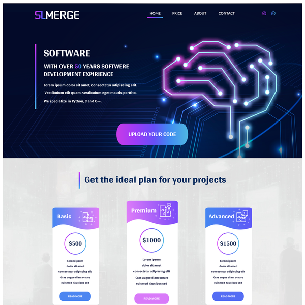 Original illustrations and web design 