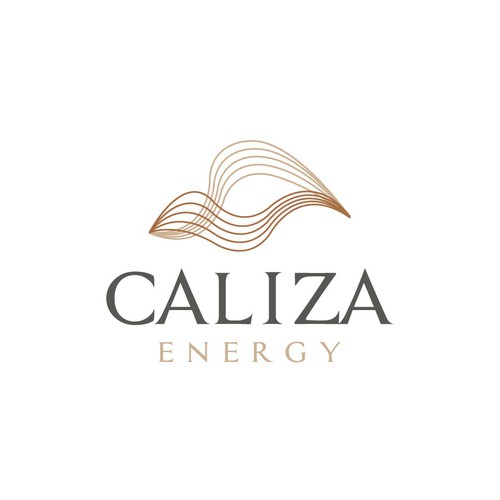 Energy startup Logo to impress investors and early employees Design by FreehubCo™