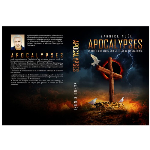 Book cover contest entry by Vexx Design