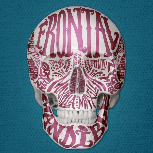 Head - typographic anatomy