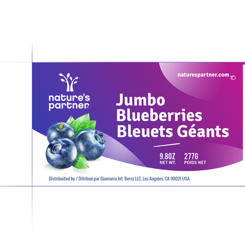 Jumbo Blueberries - 9.8oz : Target