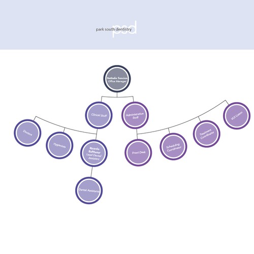 Organizational Chart for Dental Group Design by felixfesign