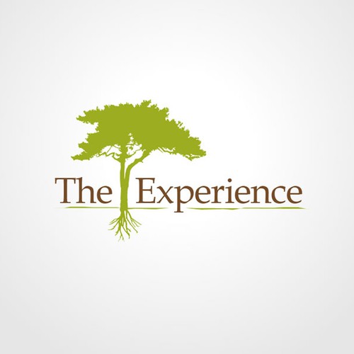 Modern logo needed for The Experience Design by HECA
