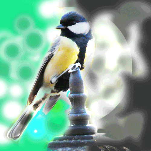  contest entry by 3abdelilah