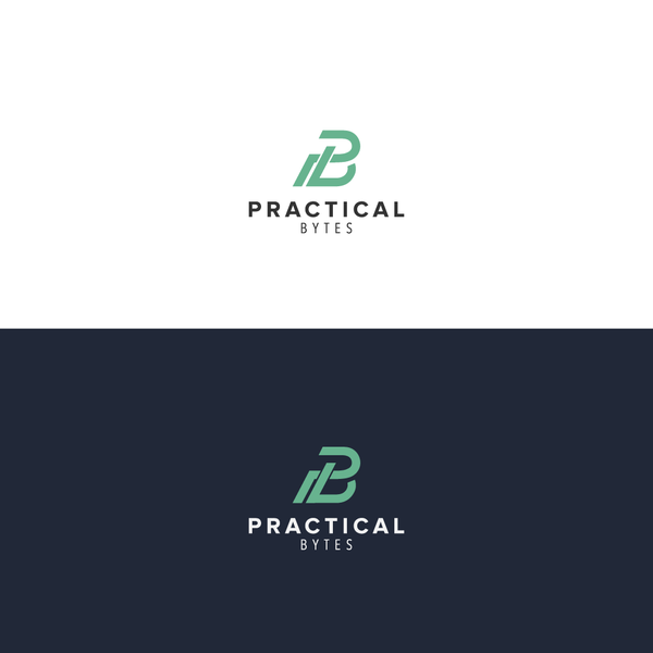 logo concept for PRACTICAL BYTES