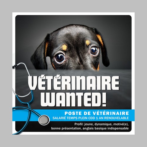 Other design contest entry by Vitalio7in