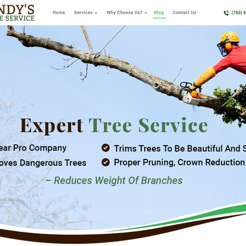 Redesign top section of website Design von Atul-Arts