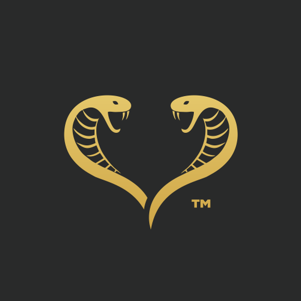 Venom & Vogue | Logo Design | 2025 | Professional