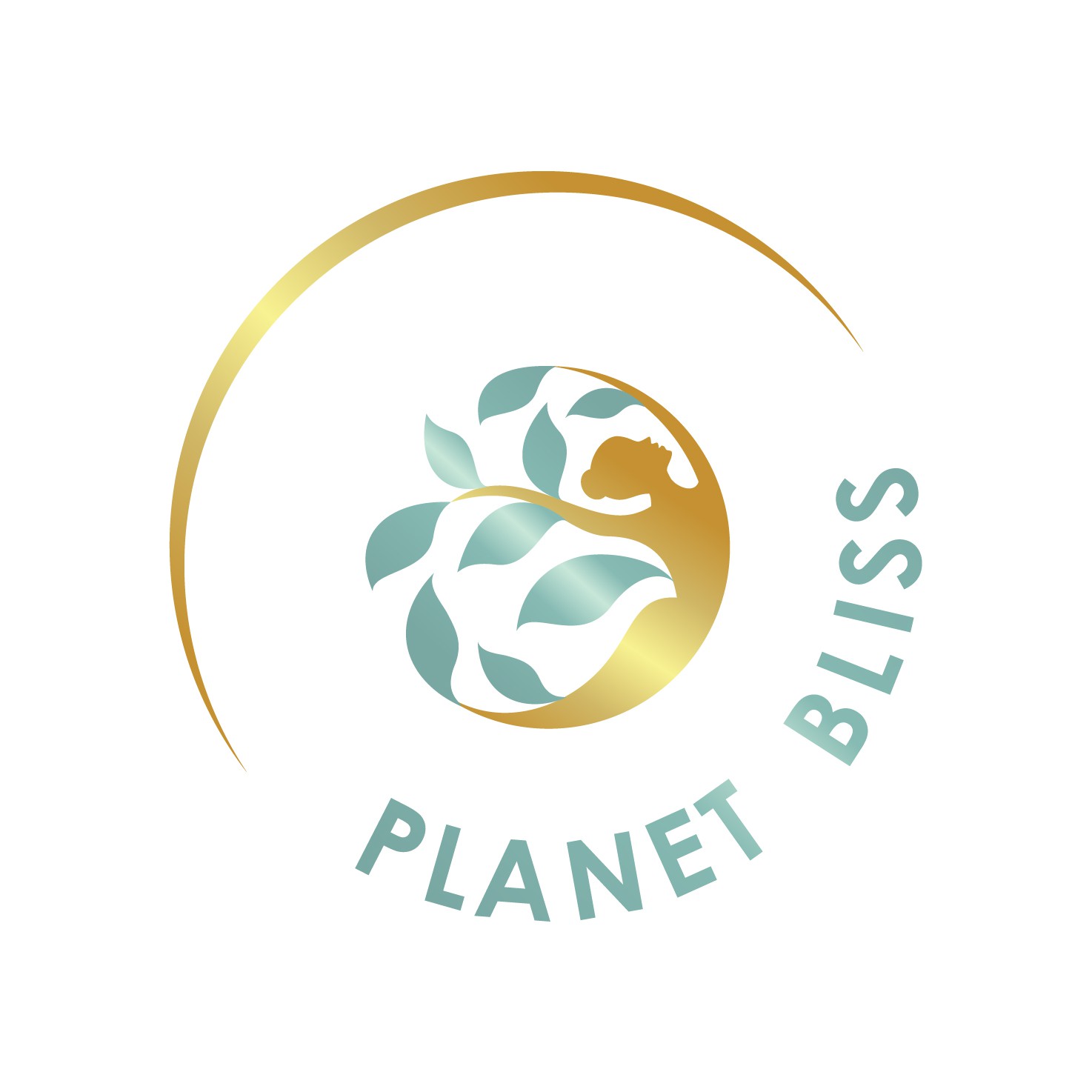 Planet logo with the title 'Emblem for a Heath&Eco Comp.'