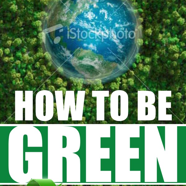 How to be Green &amp; Savy