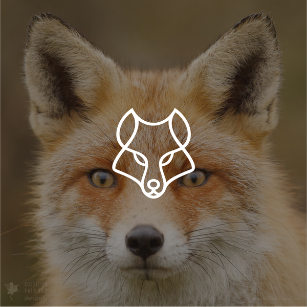 Design by javana 12 titled "RED FOX"