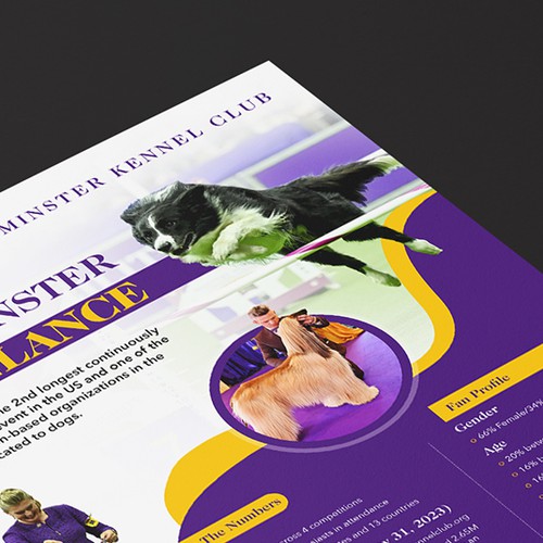 Design a Highlight Sheet for the iconic Westminster Kennel Club Dog Show! Design by Alphabet ♥