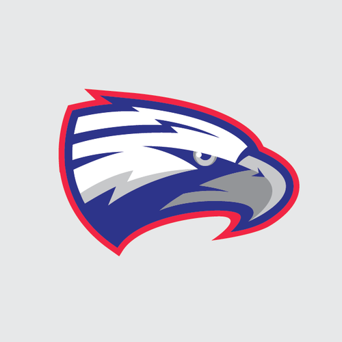 Design an orignal EAGLE mascot for Brazos Christian School Design by jenhar