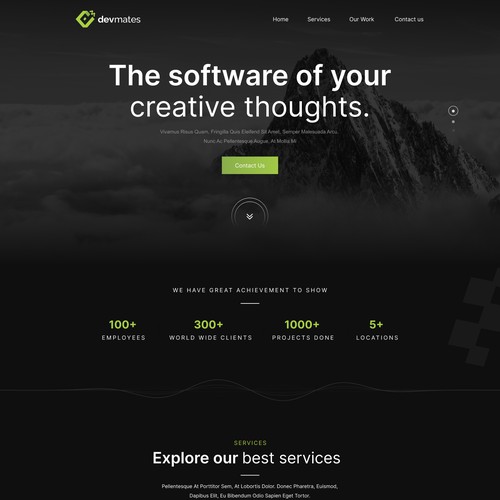Website Design for Software Developer Company Design by WebNest™