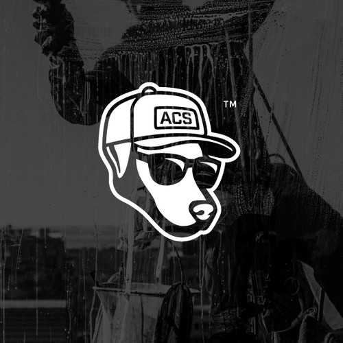 We need a new home service logo/ brand for a window cleaning business Design by Lion Studios®