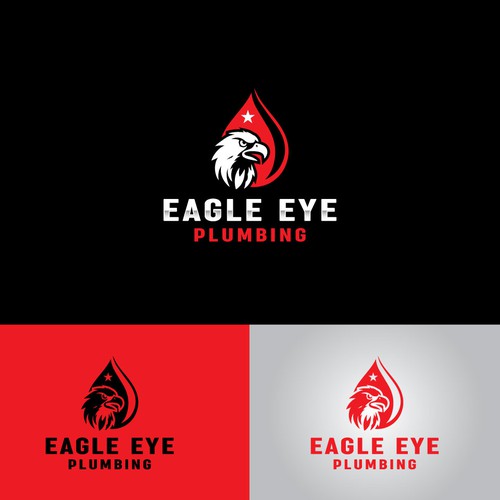 Eye catching and very marketable logo for plumbing company. The company name is Eagle Eye Plumbing Design by JakirVector