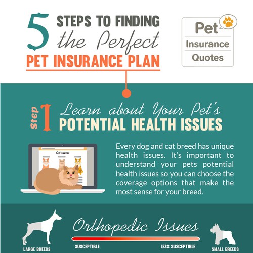 Infographic for pet insurance, Infographic contest