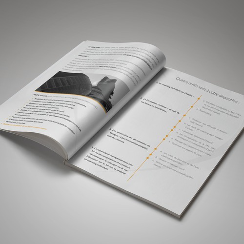  contest entry by emvalibe