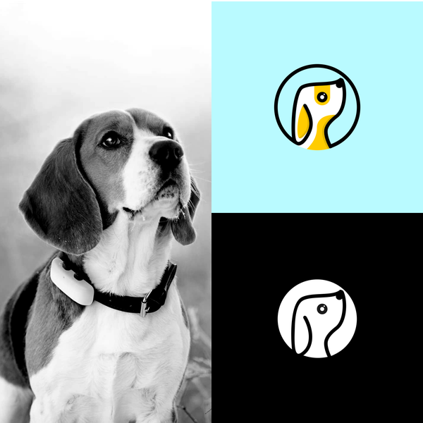 Diseño de Dihana titulado "Logo Design for a High End/Spa Product Line for Dogs"