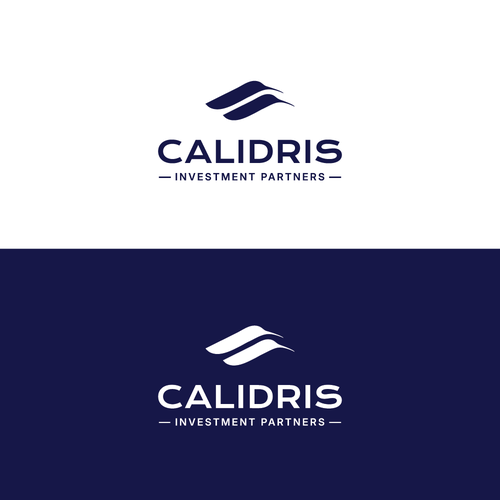 New Private Investment Firm Design by LOGStudio