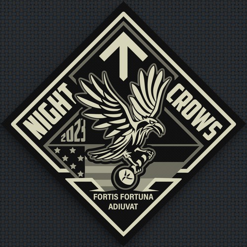 NIGHT CROWS - Military Special Operations Unit Logo design contest - GER/US Design by Sasha Løft