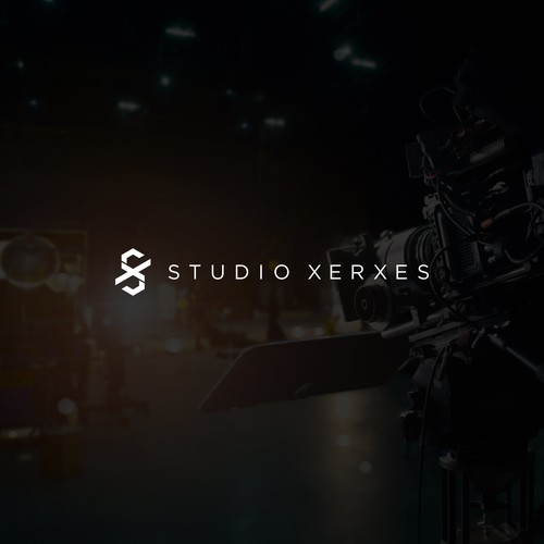 Design an impactful and creative logo and develop a brand guide for our video production company Design by NouNouArt