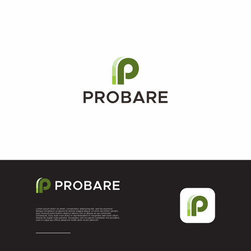 Logotipo y guía de la marca propuesta en el concurso por Delmastd