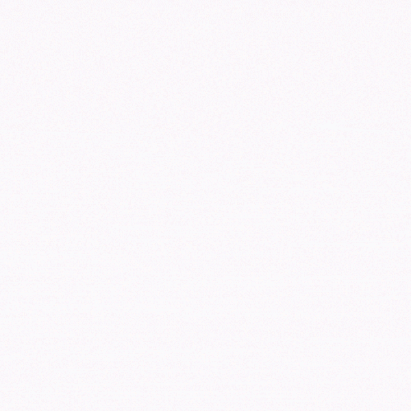 Amigo Medicare Explainer Video