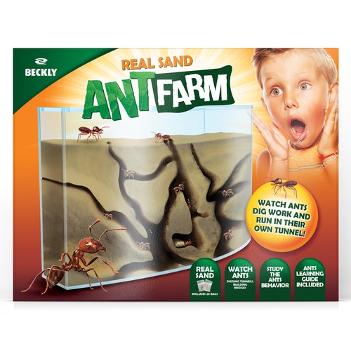Eye Catching Ant Farm Box Design Design by tomdesign.org