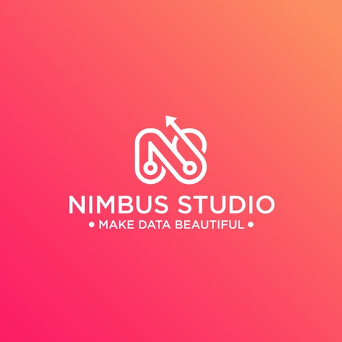 We need a startup logo for a dataviz design studio Design by NUR (LoGo)