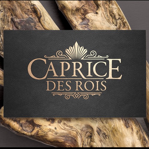 Logo & brand identity pack contest entry by haganhuga