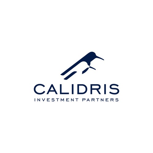 New Private Investment Firm Design by bo_rad