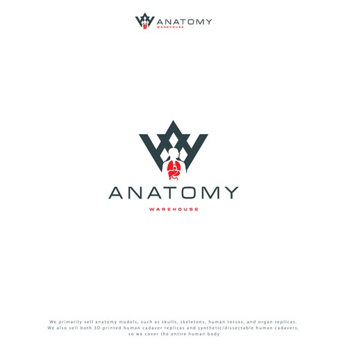 Anatomical Model Co. Looking for Creative, Modern Yet Timeless Logo With Human Anatomy Design by adisign09
