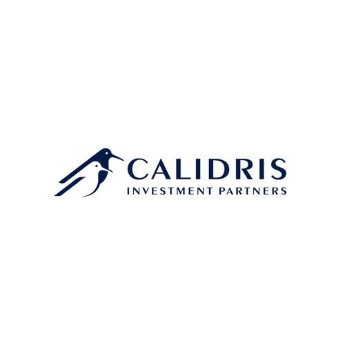 New Private Investment Firm Design by bo_rad