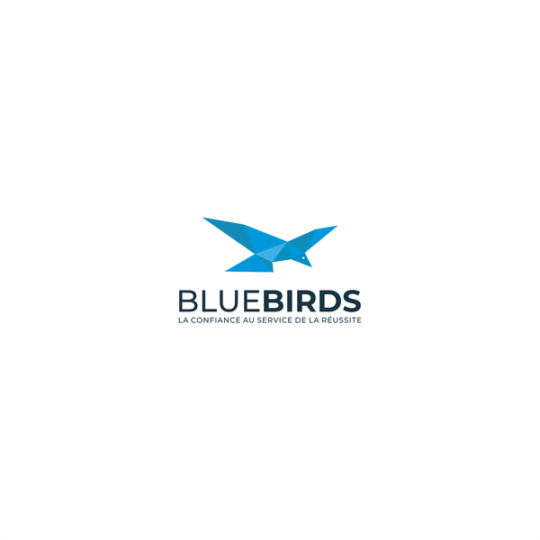 Design by ZamesCook titled "bluebirds"