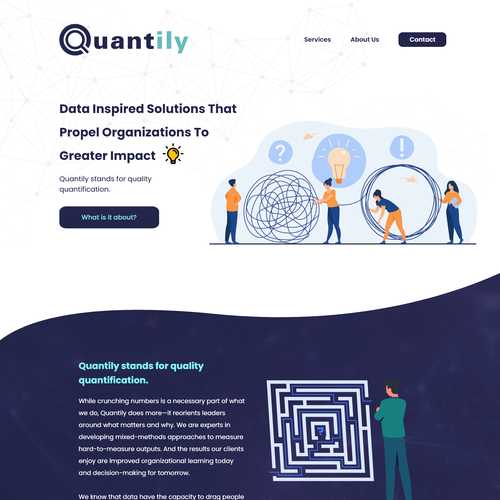 Quantily- Consulting with Data Design by Digital Genius Nic