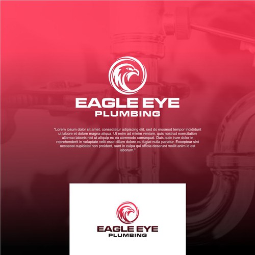 Eye catching and very marketable logo for plumbing company. The company name is Eagle Eye Plumbing Design by ElVano_Eiji ✔