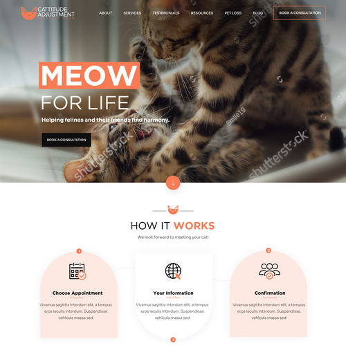 Create a website refresh for a cat behavior consultant! Design by Pinku