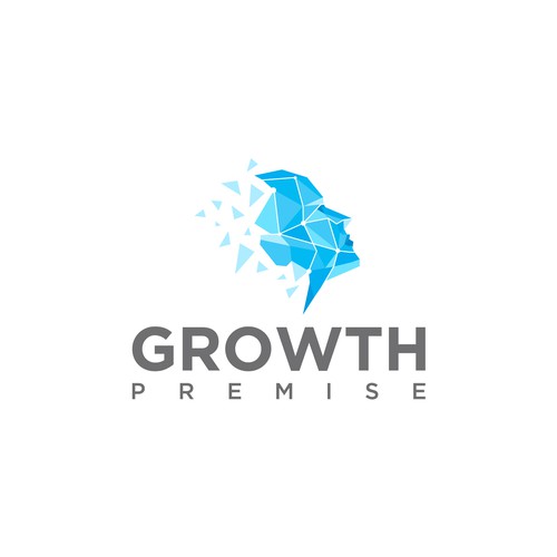 Logo and brand package for an IP company focused on leadership, growth, and mental frameworks Design by mituuu