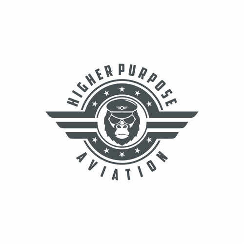 Higher Purpose Aviation Design by nutronsteel