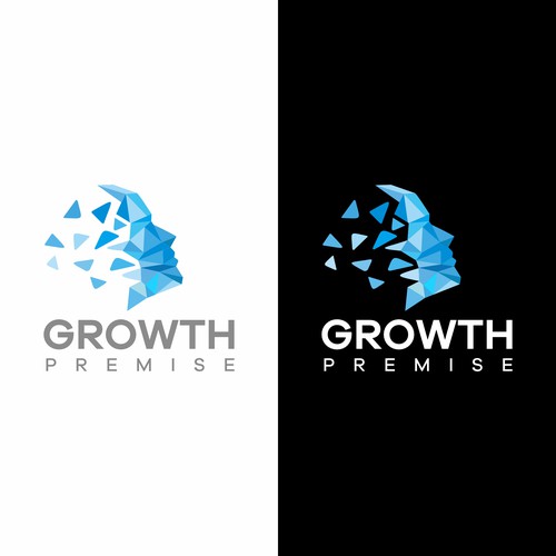 Logo and brand package for an IP company focused on leadership, growth, and mental frameworks Design by Hochbaum