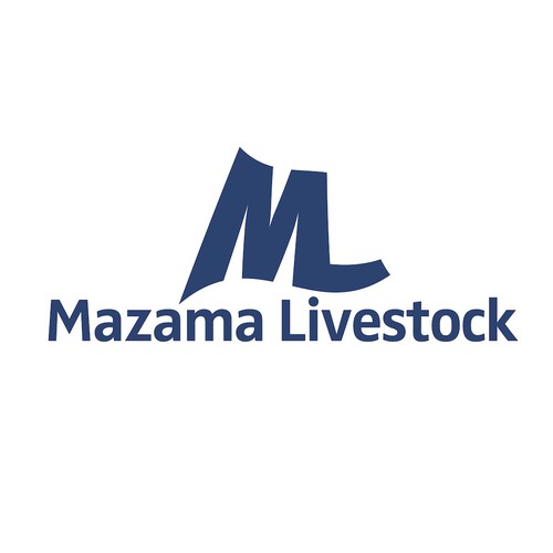 MAZAMA Design by mr.lapis